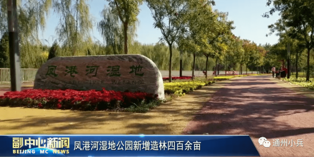 凤港河湿地建设工程